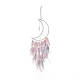 Iron Wire Woven Web/Net with Feather Pendant Decorations(AJEW-B017-30)-1