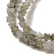 Natural Labradorite Beads Strands(G-G085-B25-01)-3