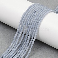 Natural Angelite Beads Strands, Faceted, Round, 2.5mm, Hole: 0.6mm, about 172pcs/strand, 15.28''(38.8cm)(G-Z079-A01-01)