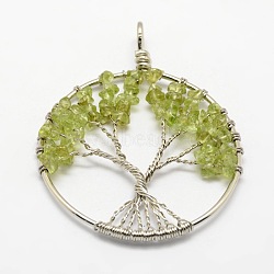 Tree of Life Natural Peridot Bead Brass Wire Wrapped Big Pendants, Cadmium Free & Nickel Free & Lead Free, 50~64x48~52x5~8mm, Hole: 3~6mm(KK-L136-01B-NR)