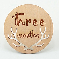Basswood Milestone Cards, with Word, Flat Round with Three Months, BurlyWood, 100x3mm, 12pcs/set(X-WOOD-TAC0005-07A)