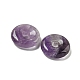 Natural Amethyst Donut/Pi Disc Charms(G-G142-01S)-2