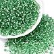 6/0 Baking Paint Transparent Glass Seed Beads(SEED-N006-06K)-1