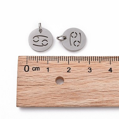 304 Stainless Steel Charms(STAS-Q201-T445-4S)-4