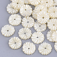 Natural White Shell Beads, Flower, Seashell Color, 10x2mm, Hole: 1mm(SSHEL-R045-23)
