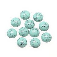 Synthetic Turquoise Cabochons, Dyed, Half Round/Dome, 12x5mm(X-G-R416-12mm-44)