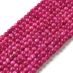 Natural Freshwater Shell Beads Strands, Round, Dyed, Camellia, 3mm, Hole: 0.5mm, about 124~132pcs/strand, 14.96''(38cm)(SHEL-H003-03F)