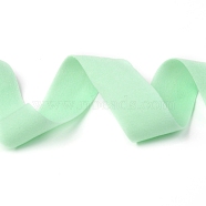 Nylon Ribbon, Double Face Matte, Webbing Garment Sewing Accessories, Pale Green, 3/4 inch(20mm), about 50yards/roll(45.72m/roll)(NWIR-O010-02A)