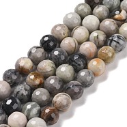 Natural Polychrome Jasper/Picasso Stone/Picasso Jasper Bead Strands, Faceted(128 Facets), Round, 8mm, Hole: 1.2mm, about 48pcs/strand, 15.16''(38.5cm)(G-E571-17A)