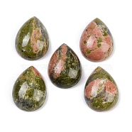 Natural Unakite Cabochons, Teardrop, 20~20.5x15~15.5x6.5~7mm(G-H094-01A-25)