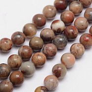 Round Natural Red Rainbow Jasper Bead Strands, 8mm, Hole: 1mm, about 49pcs/strand, 15.74 inch(G-L419-14)