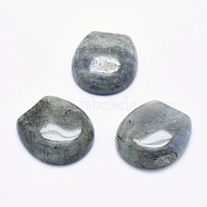 Natural Labradorite Cabochons, 22x20x6~6.5mm(G-G760-C12)