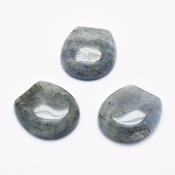 Natural Labradorite Cabochons, 22x20x6~6.5mm