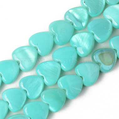 Turquoise Heart Freshwater Shell Beads