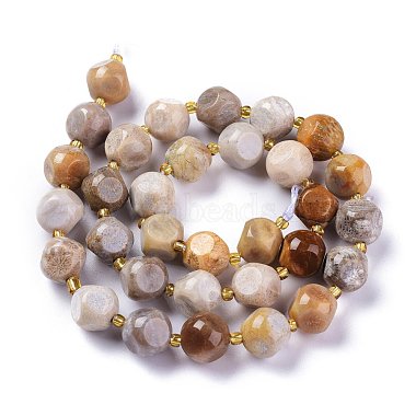 Natural Fossil Coral Beads Strands(G-A030-B02-10mm)-2