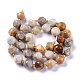 Natural Fossil Coral Beads Strands(G-A030-B02-10mm)-2