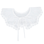Polyester Embroidery Lace Collar, Neckline Trim, DIY Garment Accessories, White, 410x1.2~1.6mm(AJEW-CY0002-85)