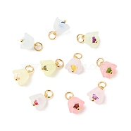 Transparent Acrylic Charms, with Golden Tone Brass Findings, Flower, Mixed Color, 9.5x9mm, Hole: 3.6mm(PALLOY-JF01604-02)