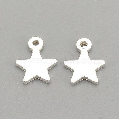 925 Sterling Silver Charms(X-STER-S002-30)-2