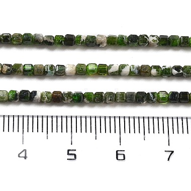 Natural Diopside Beads Strands(G-G161-C23-01)-5