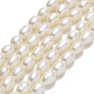 Natural Cultured Freshwater Pearl Beads Strands, Rice, Linen, 6~6.5x4.5~5mm, Hole: 0.7mm, about 61~62pcs/strand, 15.55''(39.5cm)(PEAR-J006-15A-01)
