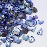 Dyed Natural Spiral Shell Chips Beads, Shell Shards, Royal Blue, 10~20x6~15mm, Hole: 1mm, about 700pcs/500g(SHEL-A003-B01)