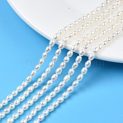 Natural Cultured Freshwater Pearl Beads Strands, Rice, Seashell Color, 4.5~5x3~4mm, Hole: 0.7mm, about 68~69pcs/strand, 14.17 inch(36cm)(PEAR-N012-03F)