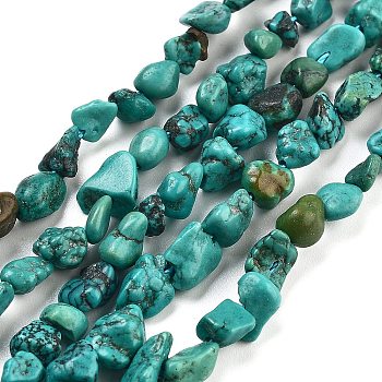 Natural HuBei Turquoise Beads Strands, Nuggets, 4~9x3~6mm, Hole: 0.8mm, 15.55''(39.5cm)