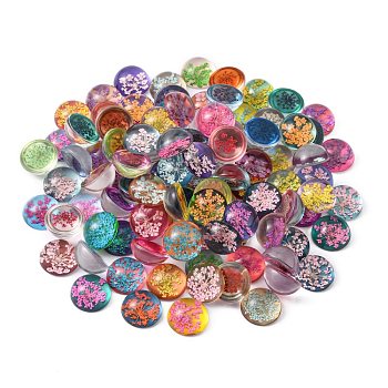 Handmade Glass Flat Back Cabochons, with Dried Flower, Dome/Half Round, Mixed Color, 25x11mm