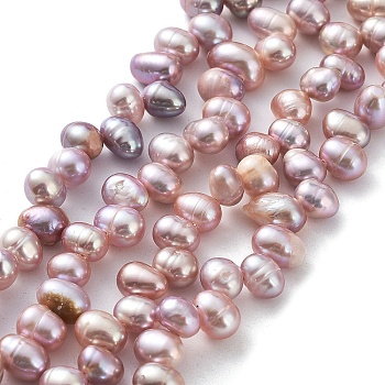 Natural Cultured Freshwater Pearl Beads Strands, Rice, Thistle, 6.5~8x5~5.5mm, Hole: 0.5mm, about 72pcs/strand, 13.82''(35.1cm)