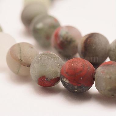 Natural African Bloodstone Beads Strands(G-P295-05-10mm)-3