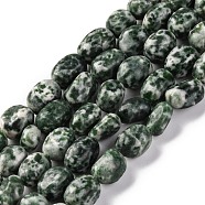 Natural Green Spot Jasper Beads Strands, Nuggets, Tumbled Stone, 7~12x6~8x5~7mm, Hole: 1mm, about 43~44pcs/strand, 15.47~15.63''(39.3~39.7cm)(G-G146-A26-01)