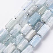 Natural Aquamarine Beads Strands, Faceted, Column, 8~11x6~8x5~7mm, Hole: 1mm, about 15~17pcs/strand, 7.28~7.48 inch(X-G-S345-8x11-005)