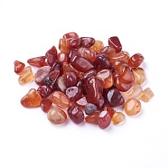 Natural Carnelian Beads, Undrilled/No Hole, Dyed, Chips, 5~19x4~10x2~7mm, about 100g/bag(G-I221-23B)