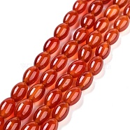 Natural Carnelian Beads Strands, Dyed, Natural Carnelian, Oval, 12x8mm, Hole: 1.2~1.5mm, about 32pcs/strand, 14.5 inch(G080)