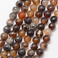 Natural Fire Crackle Agate Bead Strands, Round, Grade A, Faceted, Dyed & Heated, Coconut Brown, 8mm, Hole: 1mm, about 47pcs/strand, 15 inch(G-K166-07F-8mm-09)