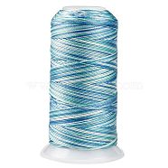 Segment Dyed Round Polyester Sewing Thread, for Hand & Machine Sewing, Tassel Embroidery, Sky Blue, 3-Ply 0.2mm, about 1000m/roll(OCOR-Z001-A-28)