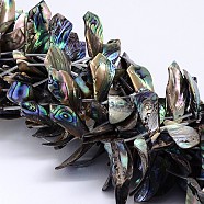 Natural Paua Shell Beads Strands, Rhombus, Colorful, 11~18x23~40x1~3mm, Hole: 1mm, about 20pcs/strand, 15.7 inch(SSHEL-J047-13)