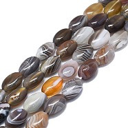 Natural Botswana Agate Beads Strands, Oval, 12x6~8.5x5~6mm, Hole: 1.2mm, about 34pcs/strand, 15.75 inch(40cm)(G-K245-N01-01)