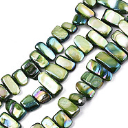 Natural Freshwater Shell Beads Strands, AB Color, Dyed, Nugget Stick, Dark Olive Green, 8~25x6~10x2~6mm, Hole: 0.5mm, about 46~49pcs/strand, 13.98 inch~14.56 inch(35.5~37cm)(X-SHEL-N026-123E)