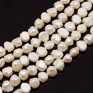 Natural Cultured Freshwater Pearl Beads Strands, Blanched Almond, 6.5~8x7~9x5~7mm, Hole: 1mm, about 54~55pcs/strand, 15.7 inch~16.5 inch(PEAR-N002-04)
