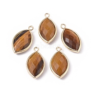 Natural Tiger Eye Pendants, with Golden Plated Brass Findings, Faceted, Horse Eye, 21.5x11.5x3~5mm, Hole: 1.6mm(G-L514-023C)