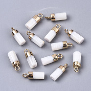 Natural Freshwater Shell Charms, with Light Gold Plated Brass Loop and Half Drilled Hole, Column, Creamy White, 14x5mm, Hole: 1.8mm, Half Hole: 1mm(SHEL-N026-47)