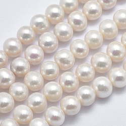 Natural Cultured Freshwater Pearl Beads Strands, Round, Beige, 10~11mm, Hole: 0.8mm, about 42pcs/strand, 15.5 inch(39.5cm)(PEAR-F007-07)