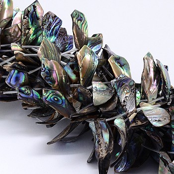 Natural Paua Shell Beads Strands, Rhombus, Colorful, 11~18x23~40x1~3mm, Hole: 1mm, about 20pcs/strand, 15.7 inch