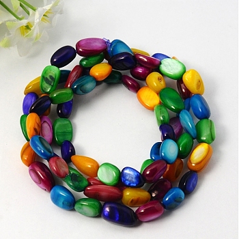 Stretch Erose Freshwater Shell Bracelets, with Elastic, Colorful, 700mm