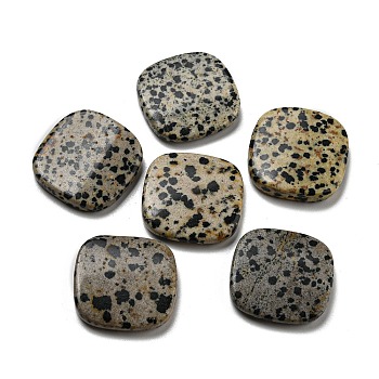 Natural Dalmatian Jasper Beads, Flat Square, 14~15x14~15x5~5.5mm, Hole: 1.2mm
