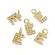 Real 18K Gold Plated Brass Micro Pave Clear Cubic Zirconia Charms(KK-E068-VB452-E)-4