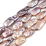 Natural Keshi Pearl Beads Strands, Cultured Freshwater Pearl, Baroque Pearls, Rectangle, Light Salmon, 18.5~28x10.5~13.5x4.5~8.5mm, Hole: 0.6mm, about 16~20 pcs/strand, 14.88~15.59 inch(37.8~39.6cm)(PEAR-S020-D04-1)