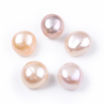 Natural Baroque Keshi Pearl Beads, Freshwater Pearl Beads, No Hole, Nuggets, Seashell Color, 12~13x8~10mm